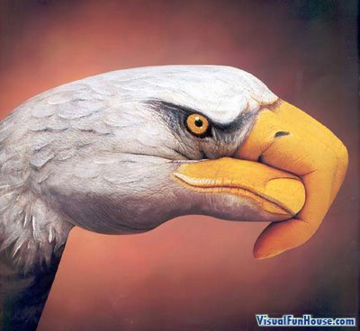 Painted Hand Illusion - Eagle