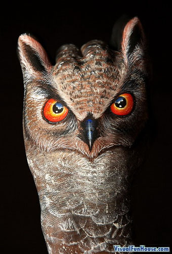 Painted Hand Illusion - Owl