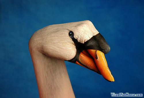 Painted Hand Illusion - Swan