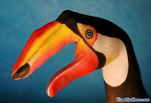 Painted Hand Illusion - Tucan