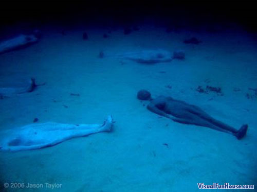Underwater statues laying on the ocean floor
